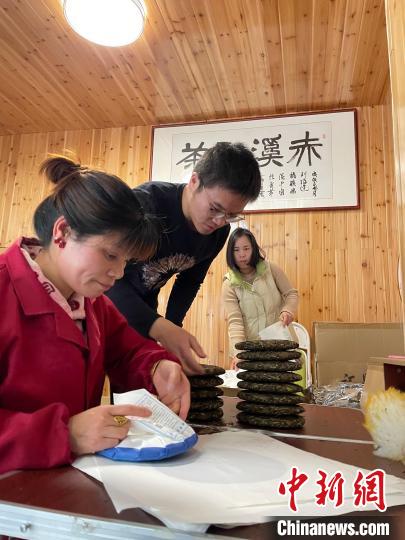 資料圖：杜贏(左二)在整理白茶餅?！×执阂?攝
